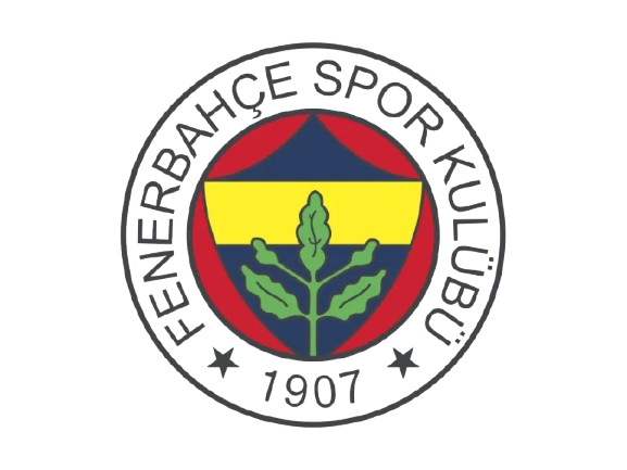 fenerbahce-sk9471.logowik.com-264042680-removebg-preview